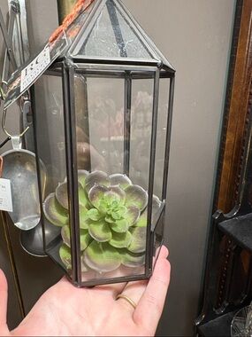 Metal Glass Terrarium with Green Succulent Accent